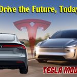 tesla modal y