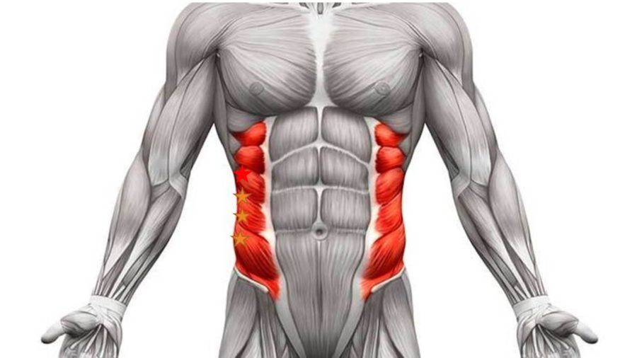oblique injury