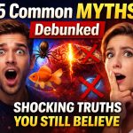 15 Common Myths Debunked: Shocking Truths You Still Believe
